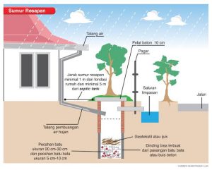 BMKG Prediksi Puncak Dampak El Nino Pada September