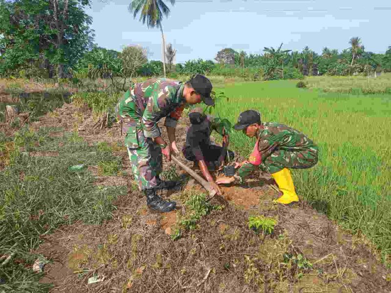 Koramil Jajaran Kodim 1002/HST Lakukan Pembersihan Lingkungan Dan Tanam Pohon