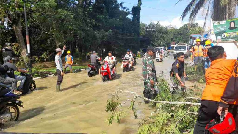 Sigap Koramil 1002-06/Barabai Bersama BPBD Kab.HST dan PLN Up3 Barabai Bersihkan Pohon Tumbang