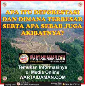 APA ITU DEFORESTASI DAN DIMANA TERBESAR SERTA APA SEBAB JUGA AKIBATNYA?