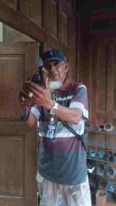 Burung Merpati Yang Manja