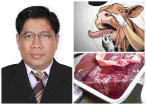Guru Besar Fakultas Kedokteran Hewan UGM Berkomentar Mengenai Penanganan Wabah Penyakit Hewan Ternak