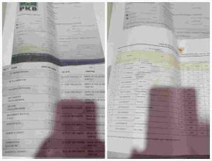Rangkap Jabatan pengurus Partai Calon PPPK ASN 2024 yang Lulus di Kota Bekasi