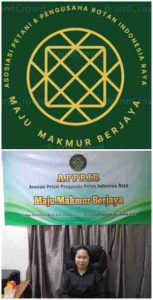 APPRIR Desak Pemerintah Untuk Ubah Tata Niaga Rotan