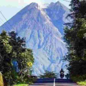 Dampak Serangan Monyet Gunung Merapi