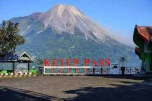 Hasil Komoditas Pertanian Ketep Pass Menurun Drastis