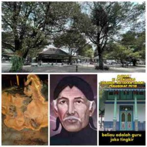 Pohon Sawo Kecik Masjid Selo Tumbang