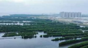 Survei TBRC Mengatakan Masyarakat Banten dan Jakarta Setuju PIK 2 di Lanjutkan Sebanyak 88,8 %