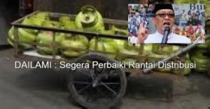 Cegah Antrian LPG 3 Kg, Senator Dailami: Segera Perbaiki Rantai Distribusi