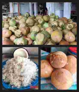 Harga Kelapa Melejit Tak Terkendali