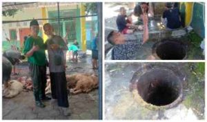 Masjid Sultan Agung Manfaat Limbah Kotoran Hewan Qurban