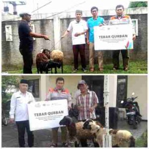 HARMONI BERBAGI, TERANGI NEGERI: TEBAR QURBAN PLN INDONESIA POWER UBP KAMOJANG PLTP GUNUNG SALAK BERSAMA RUMAH ZAKAT