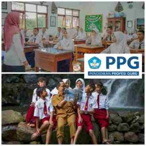 101.581 Guru Lolos Seleksi Administrasi PPG Bagi Guru Tertentu Periode 1 Tahun 2025